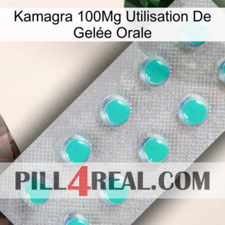 Kamagra 100Mg Utilisation De Gelée Orale 28